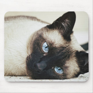 Siamese Cat Mousepad