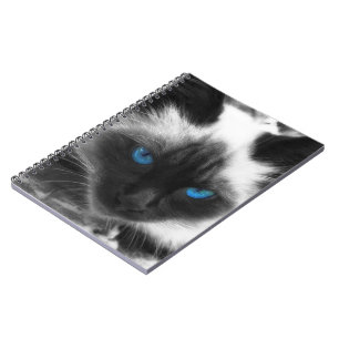 Siamese Cat Notizblock