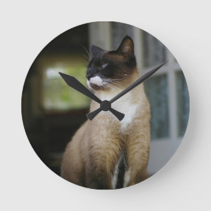 Siamese Cat on the Porch Runde Wanduhr