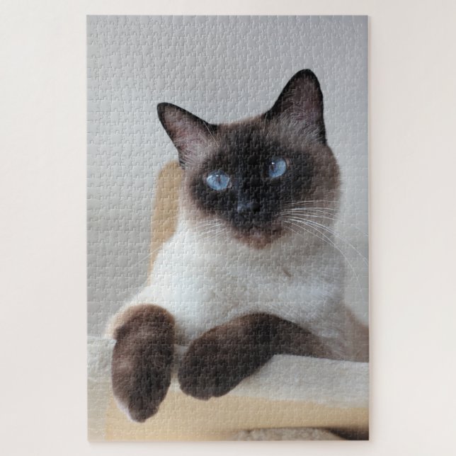 Siamese Cat Portrait Puzzle (Vertikal)