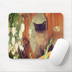 Siamese Cat Posing #1 Mousepad