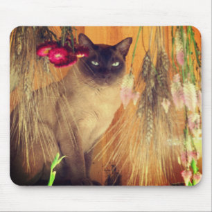Siamese Cat Posing #3 Tier Mousepad
