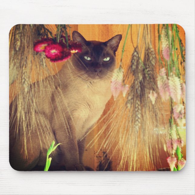 Siamese Cat Posing #3 Tier Mousepad (Vorne)