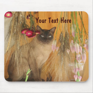 Siamese Cat Posing Animal Fotografie Mousepad #3