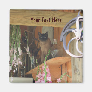 Siamese Cat Posing Animal Fotografy Magnet #2