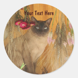 Siamese Cat Posing Animal Fotosticker #3 Runder Aufkleber
