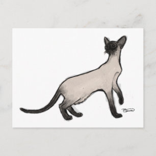 Siamese Cat Post Card Postkarte