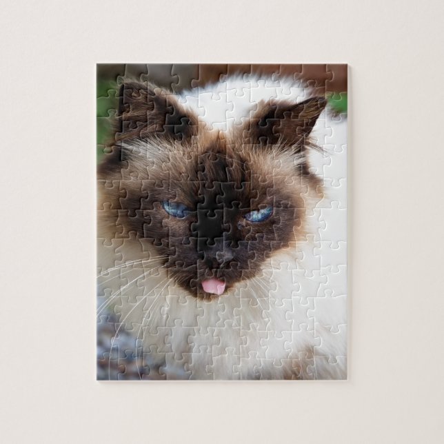 Siamese cat puzzle (Vertikal)