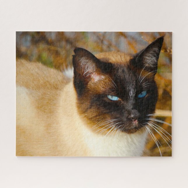 Siamese Cat. Puzzle (Horizontal)