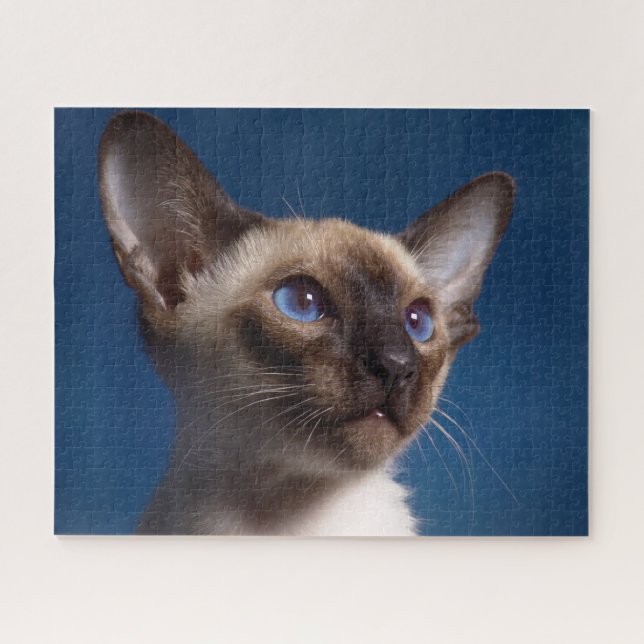 Siamese Cat. Puzzle (Horizontal)
