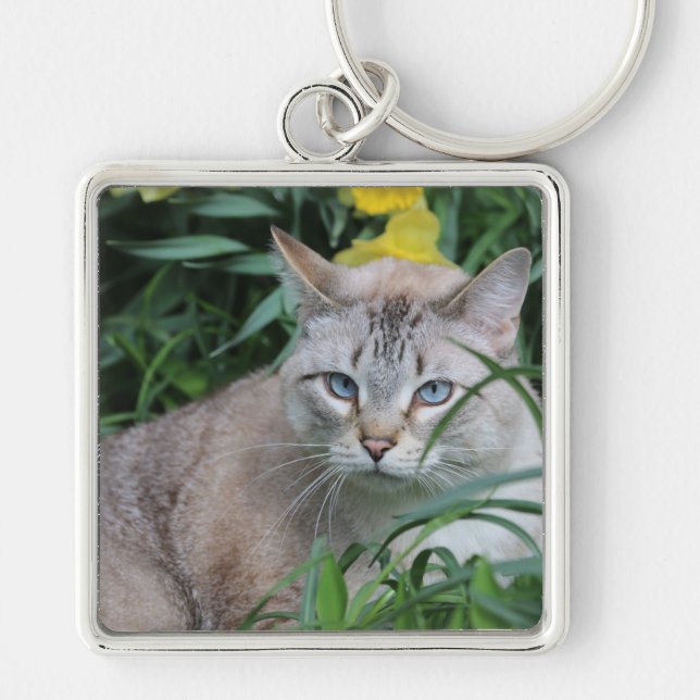 Siamese Cat Schlüsselanhänger (Vorne)