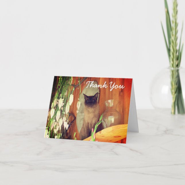 Siamese Cat Sitting Danke Karte (Vorderseite)