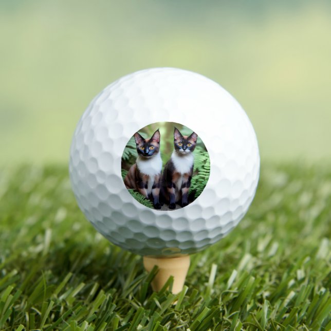 Siamese Cat Twins, Golf Ball (Insitu T-Shirt)