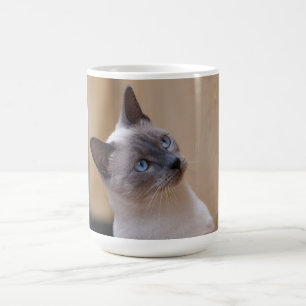 Siamese Cat Verwandlungstasse