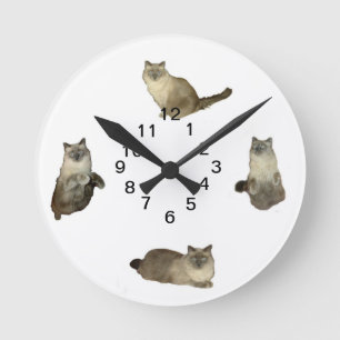 Siamese Cat Wall Clock Runde Wanduhr