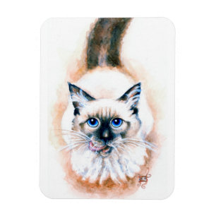 Siamese Cat Watercolor Magnet
