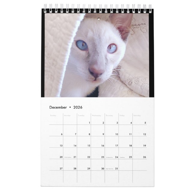Siamese Cats Calendar Kalender (Dez 2026)
