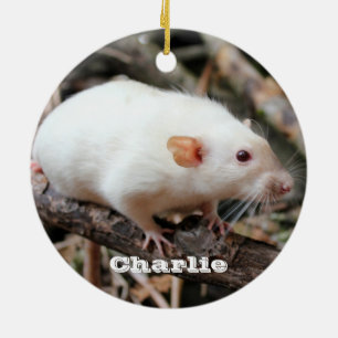 Siamese Dumbo Pet Rat im Wald Keramik Ornament