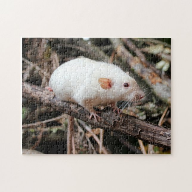 Siamese Dumbo Pet Rat im Wald Puzzle (Horizontal)
