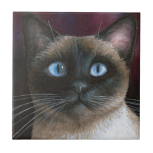 Siamese Katze 548 Fliese