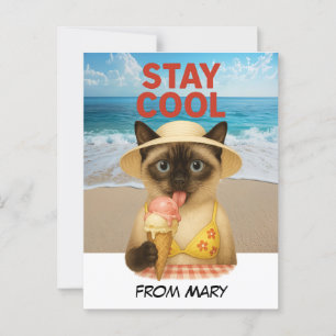 Siamese Katze leckt Eis, cool bleibe Postkarte