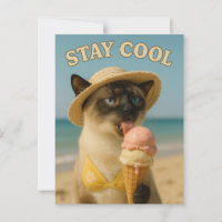 Siamese-Katze leckt Eis und bleibt cool 