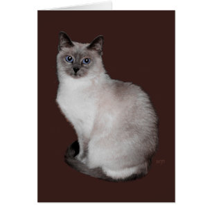 Siamese Katze mit BlueEyes