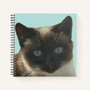 Siamese Katze mit Bright Blue Eyes Notebook Notizbuch