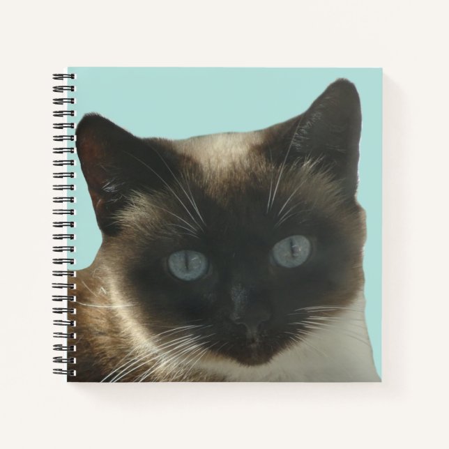 Siamese Katze mit Bright Blue Eyes Notebook Notizbuch (Vorderseite)