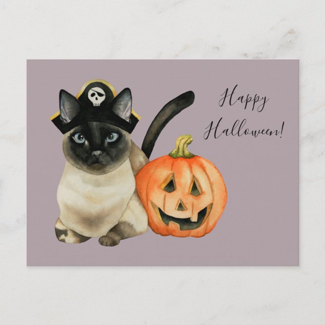 Siamese Katze mit Pirathut | Frohe Halloween Postkarte (Vorderseite)