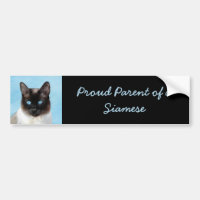 Siamese Katzenmalerei - Niedliche Original Katzenk