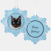 Siamese Katzenmalerei Original Tierart