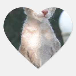 Siamese Kitten auf dem Tisch Herz-Aufkleber