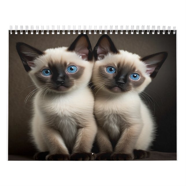 Siamese Kitten Kalender für Katzen Liebhaber (Titelbild)