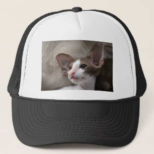 Siamese Kitten mit großen Ohren Truckerkappe