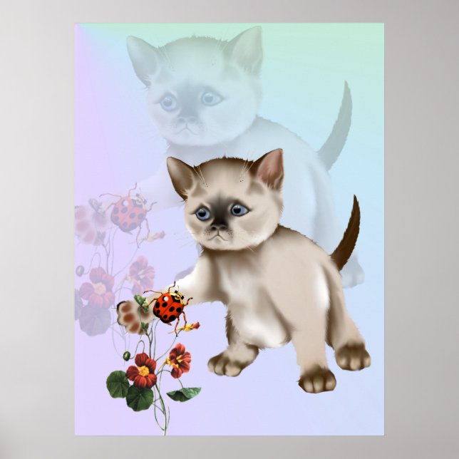 Siamese Kitten VS Ladybug Poster (Vorne)