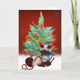 Siamese Kitten Weihnachtskarte Feiertagskarte