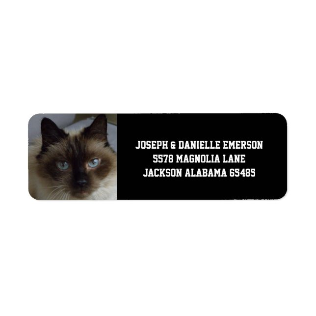 Siamese Kitty Address Labels (Vorne)