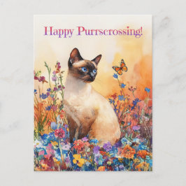 Siamese Postcross 1 - Postkarte