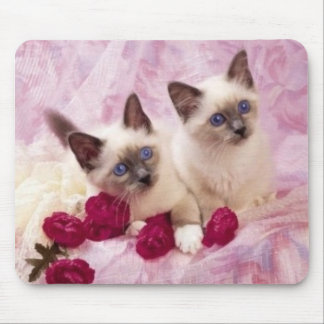 siamesische Kätzchen Mousepad
