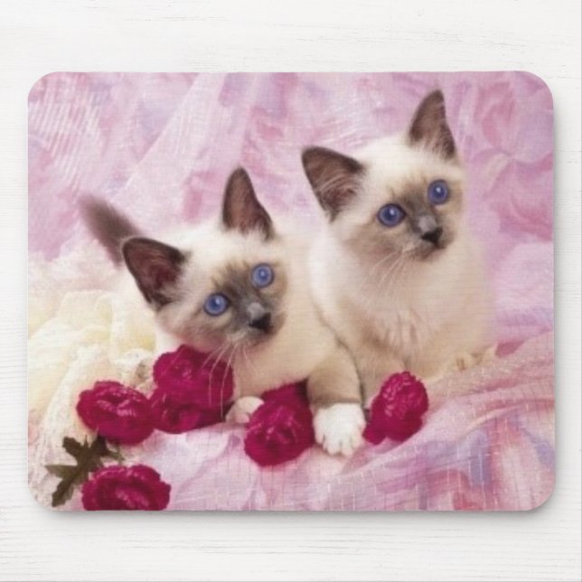 siamesische Kätzchen Mousepad (Vorne)