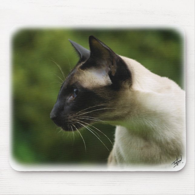 Siamesische Katze 9W027D-128 Mousepad (Vorne)
