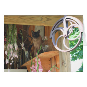 Siamesische Katze, die Fotografie-Karte #2