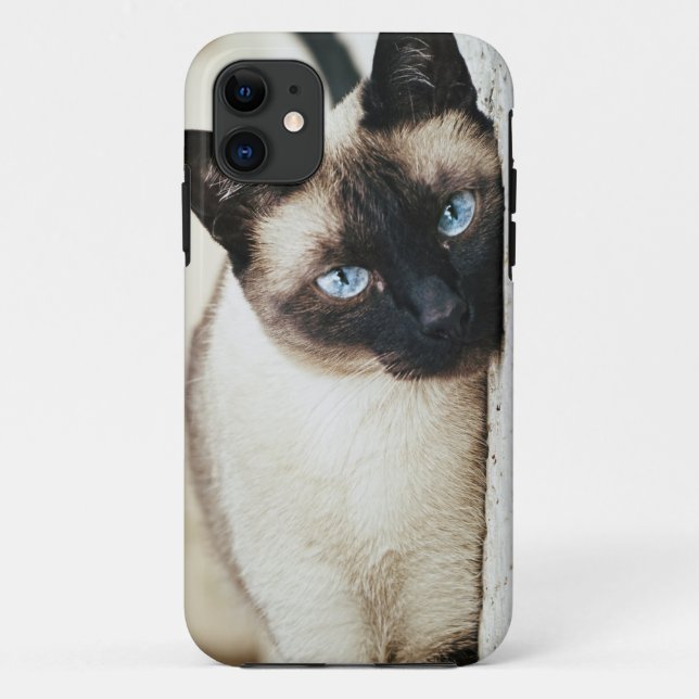 siamesische Katze iphone Fall Case-Mate iPhone Hülle (Rückseite)