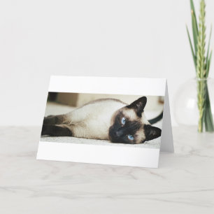 Siamesische Katze Karte