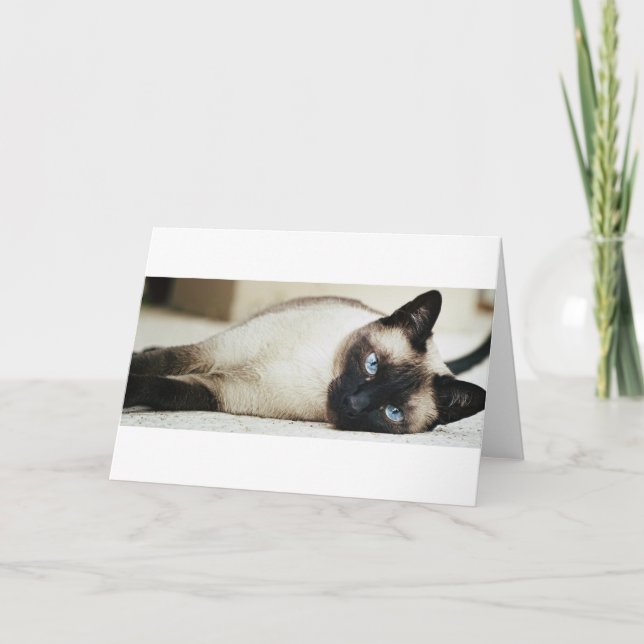 Siamesische Katze Karte (Vorderseite)