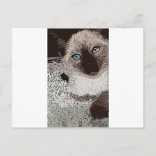 Siamesische Katze Kätzchen Haustier Tier Freund Fa Postkarte