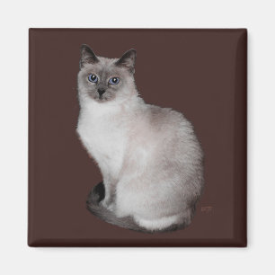 Siamesische Katze mit blauen Augen Magnet