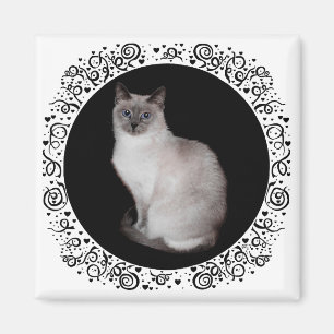 Siamesische Katze mit blauen Augen Magnet