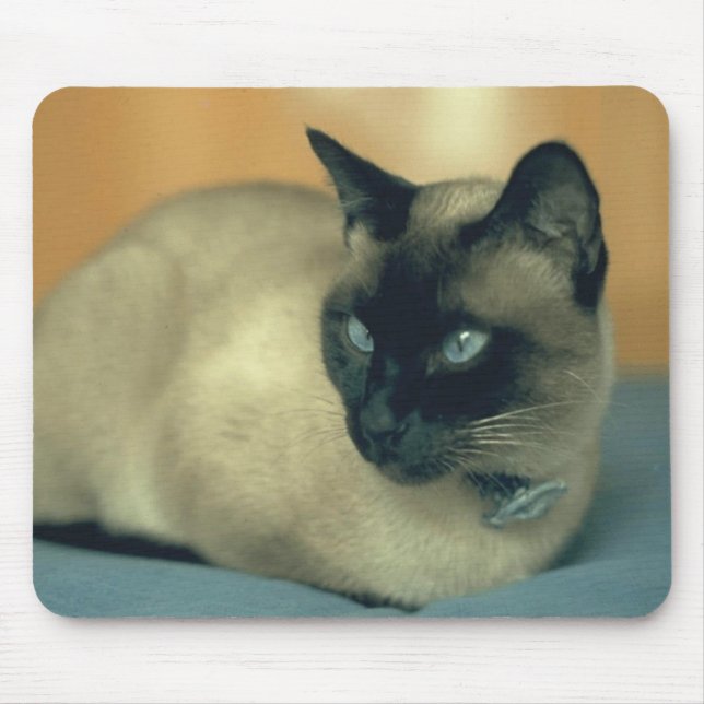 Siamesische Katze Mousepad (Vorne)